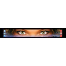 Брызговик длинномер для п/п с рисунком "Глаза 1" (35x240)